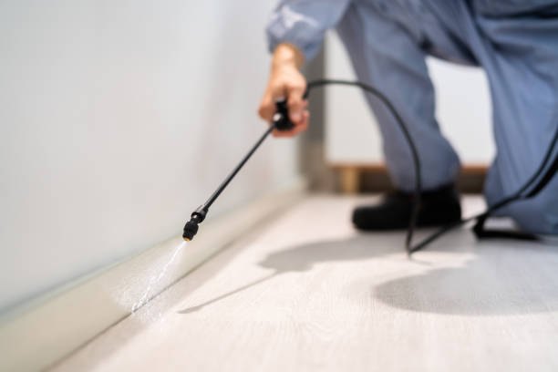 Rodent Entry Point Assessment in Silver Hill