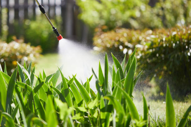 Tamper-Resistant Bait Stations for Rodents in Silver Hill