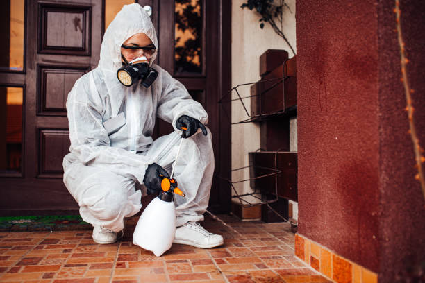 Attic and Crawl Space Rodent Treatment in Silver Hill
