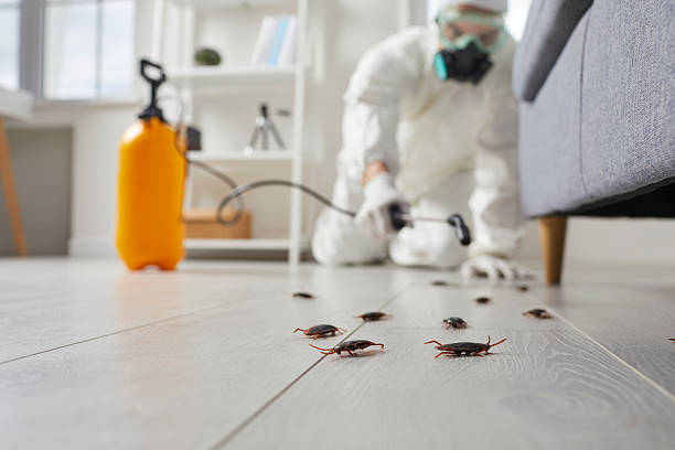 Commercial Rodent Management in Silver Hill